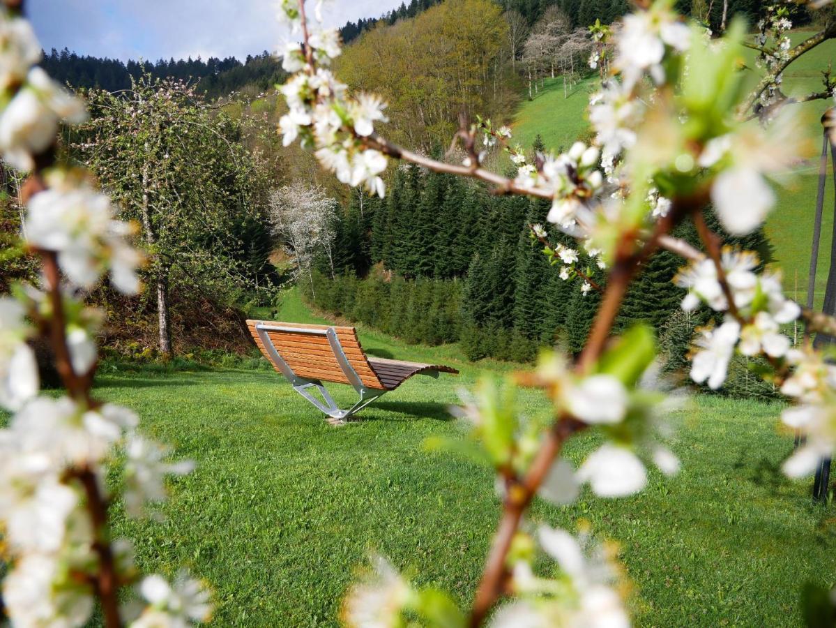 Buehlbauernhof Villa Bad Peterstal-Griesbach Exterior photo