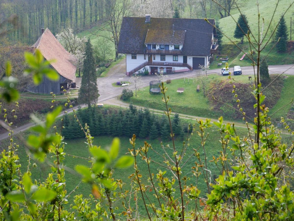Buehlbauernhof Villa Bad Peterstal-Griesbach Exterior photo